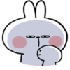 Rabbitto 24