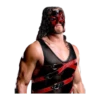 WWE 28