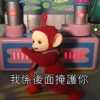 Teletubbies Say Hello 27