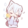 White Kitten 28