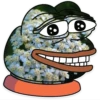 Spring Pepe 26