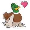 duck_vk 28