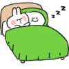 Rabbitto 27