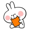 Spoiled rabbit Summer 17