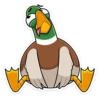 duck_vk 29