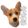 MANGO 5