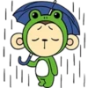 yaya_monkey 7