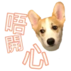 MANGO 7