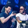 XO 6