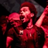 XO 11