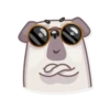 Water Pug 13