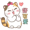 Money Cat 10
