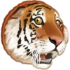 WWF 7