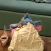 Tutter Mouse 17