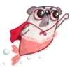 Water Pug 17