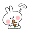 Spoiled Rabbit You 13