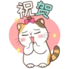 Money Cat 12