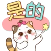 Money Cat 14