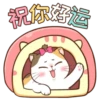 Money Cat 16
