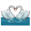 The Signs of Love 14
