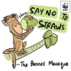 Green Living Sticker Pack 8