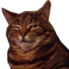 Cats ( 18