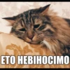 ЕТО НЕВІНОСІMO