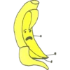 Frutas cortadas 8