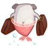Water Pug 22