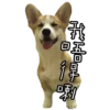 MANGO 20
