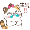 Money Cat 17