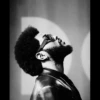 XO 23