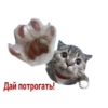 Дай потрогать!