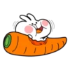 Spoiled Rabbit Small For You 27