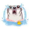 Water Pug 26