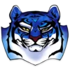 Water Tiger 15