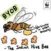 Green Living Sticker Pack 13