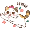 Money Cat 19