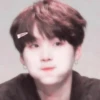 soft bts 27