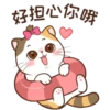 Money Cat 20