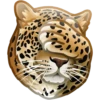 WWF 15
