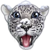 WWF 16