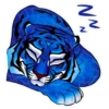 Water Tiger 16