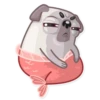 Water Pug 30