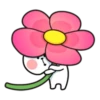 Spoiled Rabbit Small For You 30