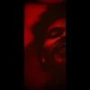 XO 30