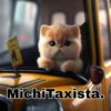 Michis profesiones 1 5