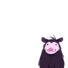 Opossum pack 6