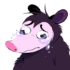 Opossum pack 11