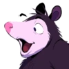Opossum pack 12